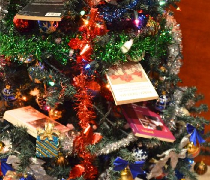 Sette libri del 2014 da mettere sotto l’albero di Natale